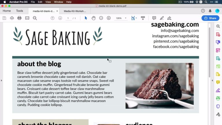 ktv娱乐会所上海金沙江路SageBaking媒体插件前端网页,作为Food博客媒体插件课程